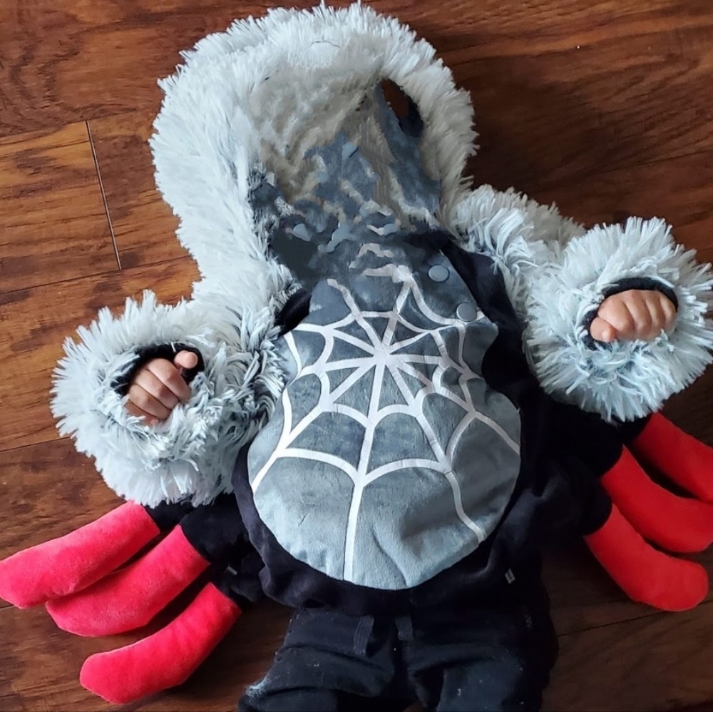 Spider Halloween Costume